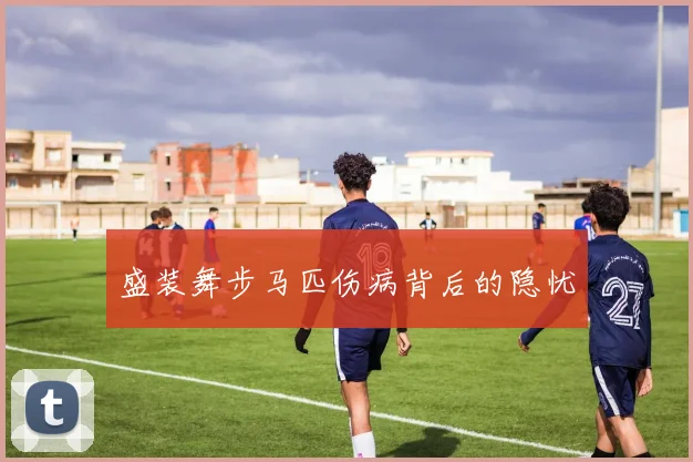 盛装舞步马匹伤病背后的隐忧