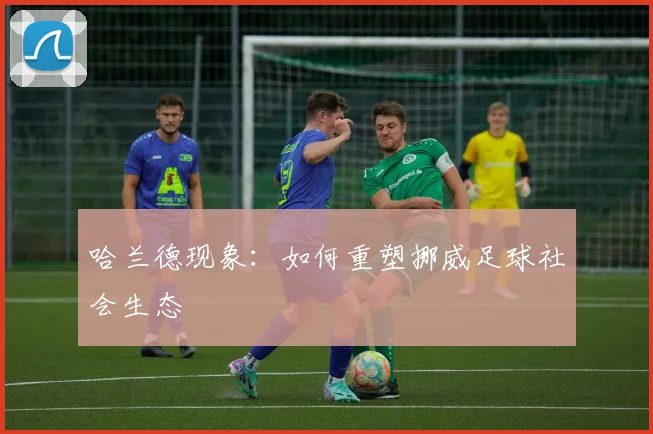 哈兰德现象：如何重塑挪威足球社会生态