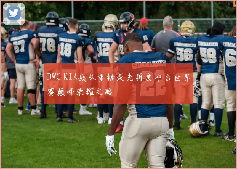 DWG KIA战队重铸荣光再度冲击世界赛巅峰荣耀之路
