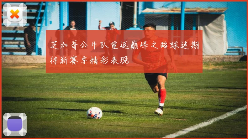 芝加哥公牛队重返巅峰之路球迷期待新赛季精彩表现