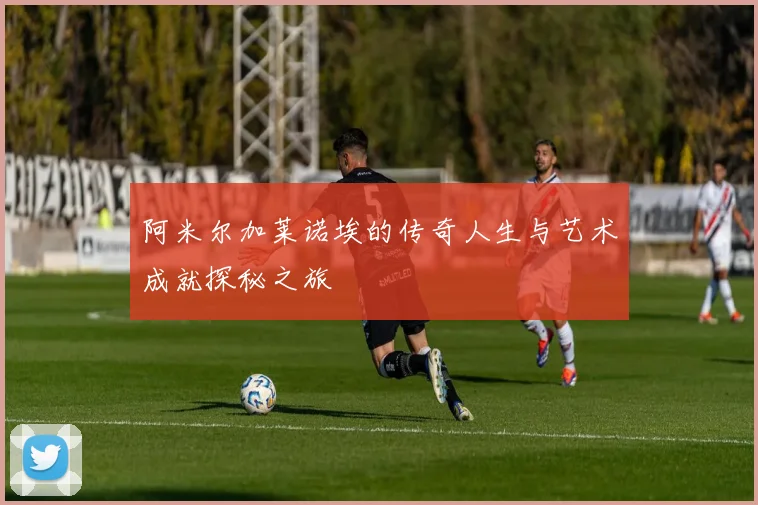 阿米尔加莱诺埃的传奇人生与艺术成就探秘之旅