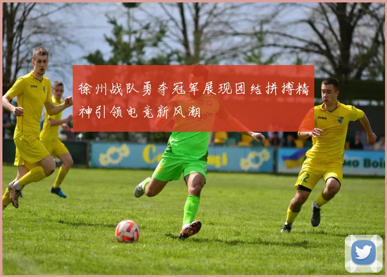 徐州战队勇夺冠军展现团结拼搏精神引领电竞新风潮