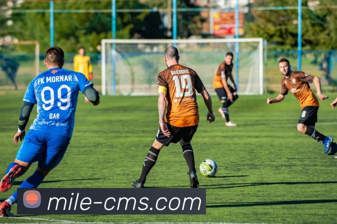 米乐平台生态图